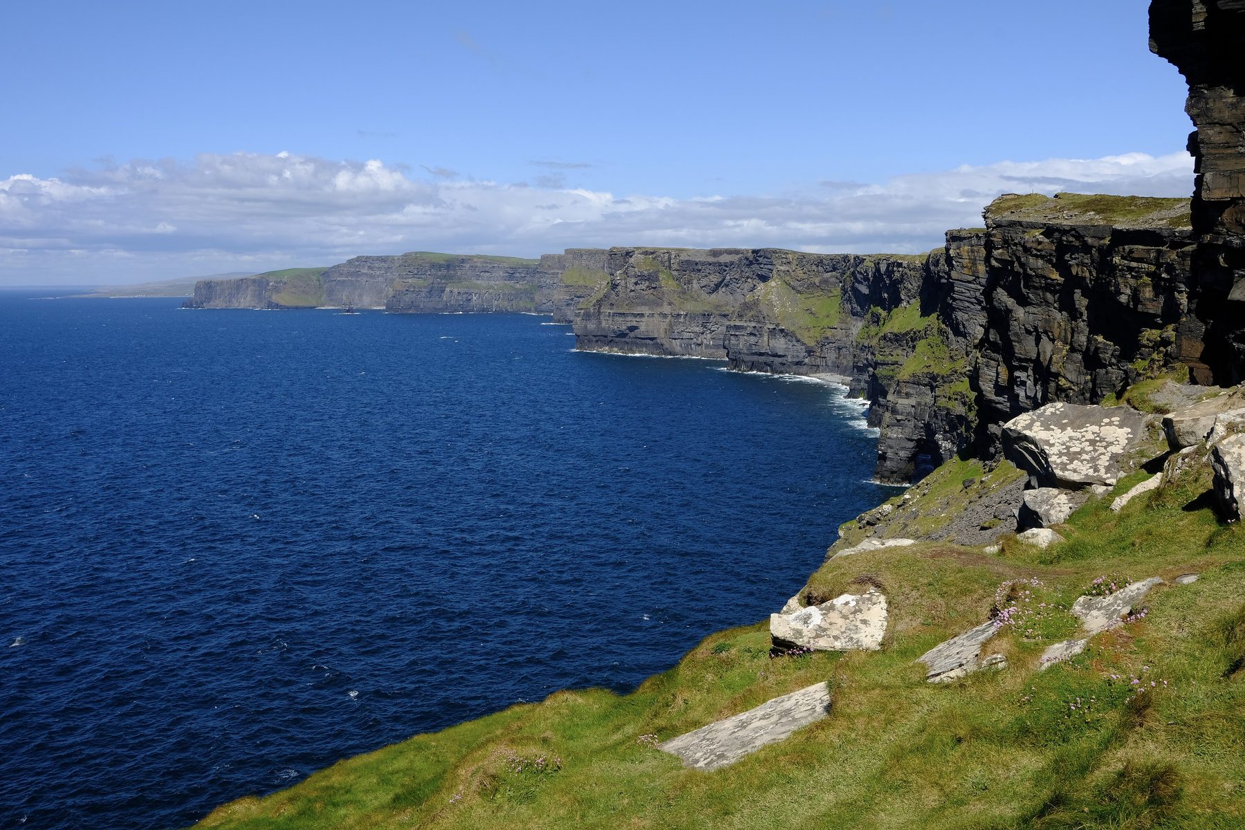Cliffs of Moher with Sea Thrift