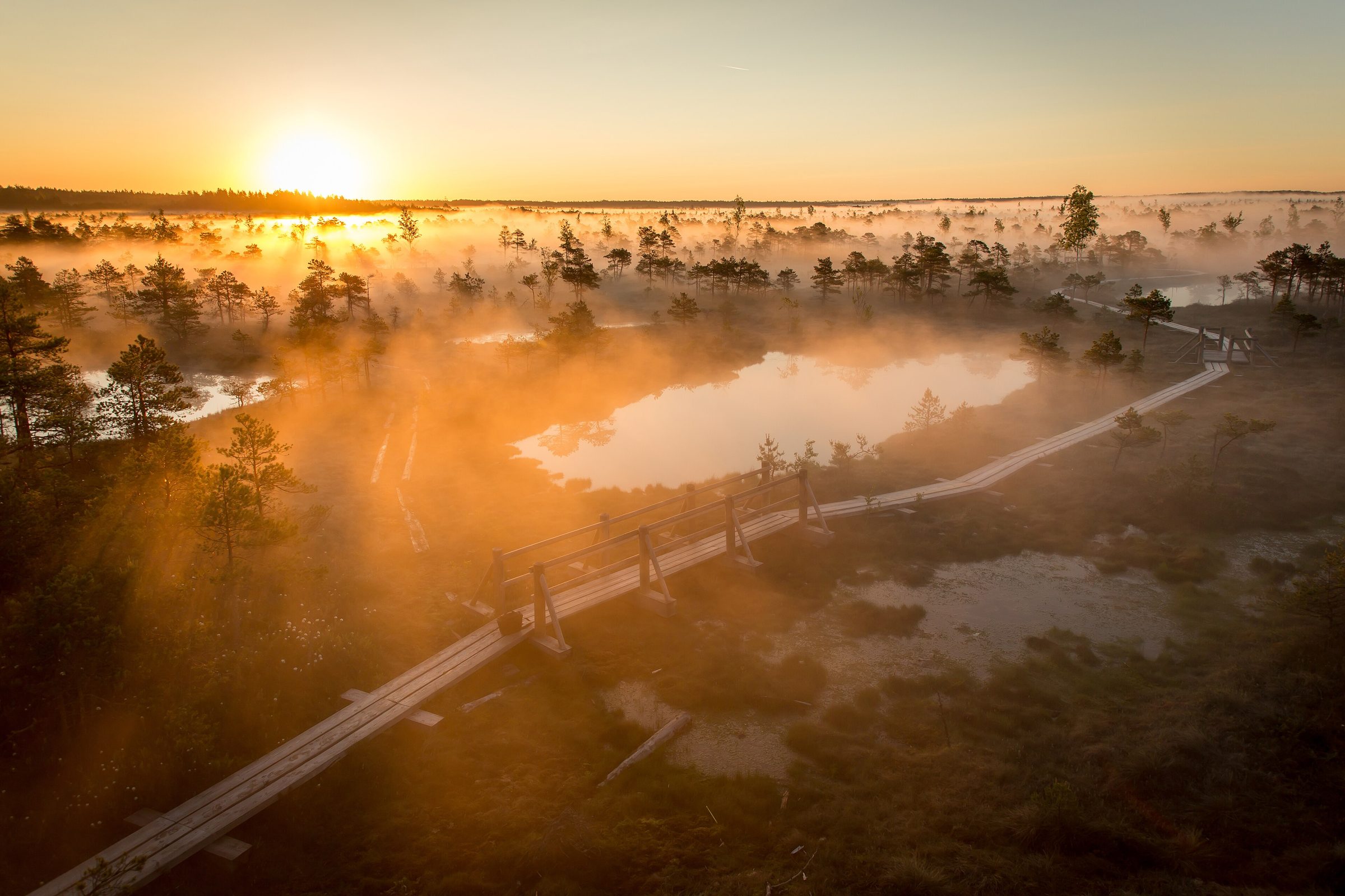 Ķemeri bog boardwalk at sunrise, Ķemeri National Park