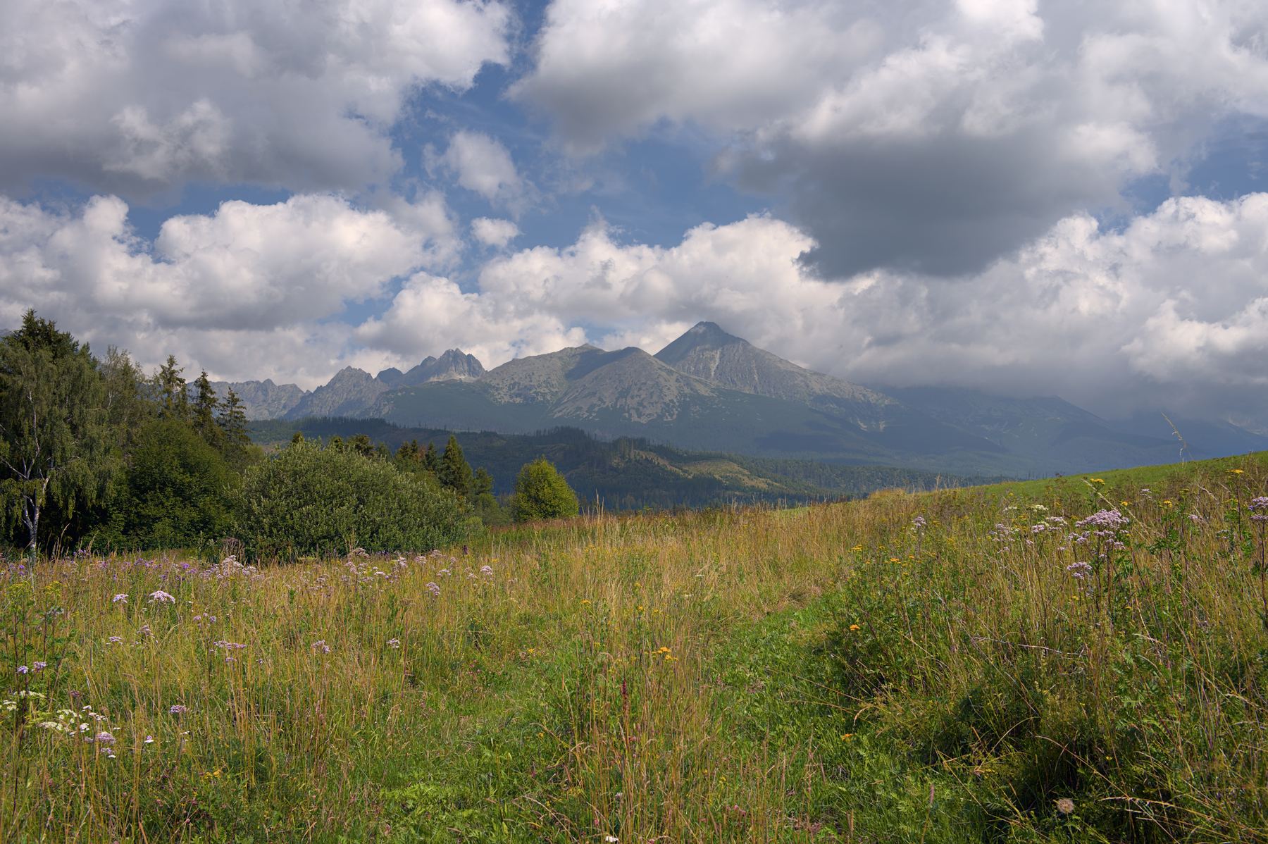High Tatra Mountains from Štrba
